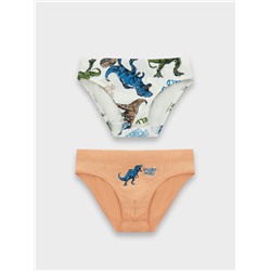 ТРУСЫ ДЛЯ МАЛЬЧИКОВ (2ШТ.) 413351-2