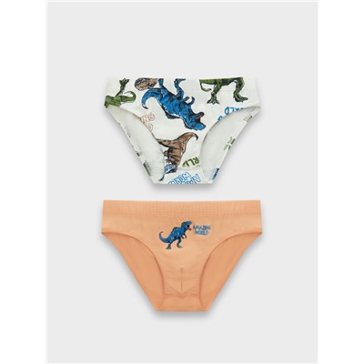 ТРУСЫ ДЛЯ МАЛЬЧИКОВ (2ШТ.) 413351-2