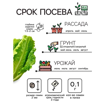Семена Капуста пекинская «Неженка», 0.1 г, ультраскороспелая, «Рецепты дедушки Никиты»