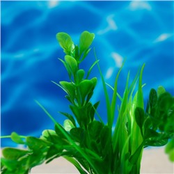 Растение искусственное