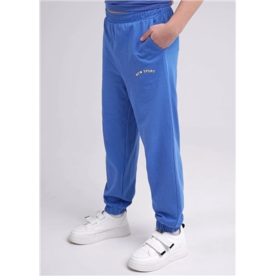 CLEVER Брюки 846566/78зз_п