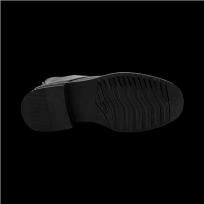 Ботинки демисезонные CF06-1 черные