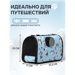 Сумка-переноска каркасная «Играющие котики», размер S, 37.5×17×22 см, голубая