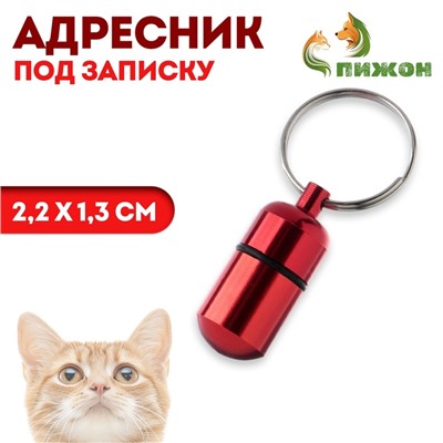 Адресник - капсула под записку, 2.2×1.3 см, металл, бордовый
