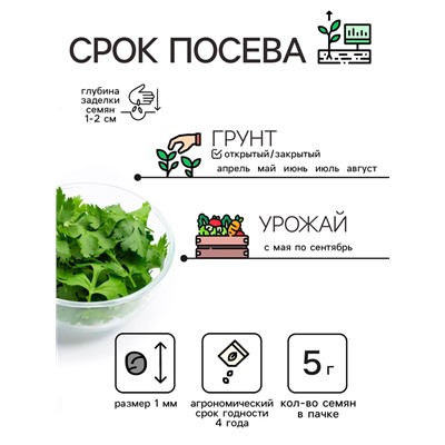 Семена Кориандр "Бородинский", 5 г