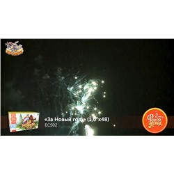 Фейерверк ЕС502 За Новый Год! (1" х 48)