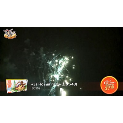 Фейерверк ЕС502 За Новый Год! (1" х 48)