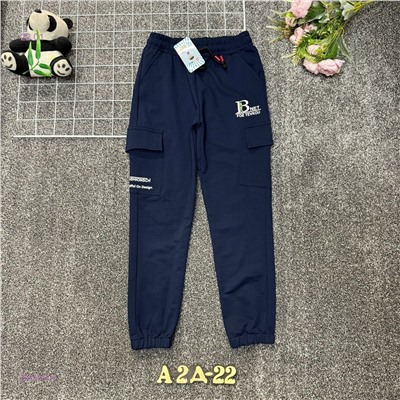 штаны 2054892-4