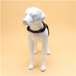 Шлейка улучшенная К7 мягкая светоотражающая, размер L, ОГ 64-86 см, вес 18-27.5 кг, оранжевая