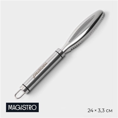 Рыбочистка Magistro Solid, нержавеющая сталь, хромированная