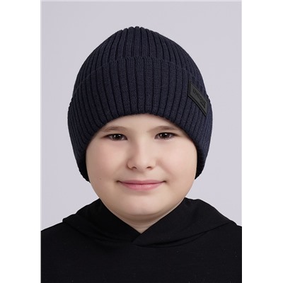 454895 CLEVER Шапка