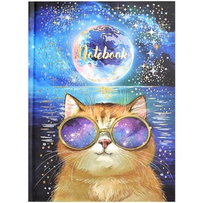 Записная книжка 140х200 мм 80л "КОСМИЧЕСКИЙ КОТ" линия, точка 61613 Феникс