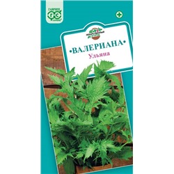 Валериана Ульяна (Код: 92913)