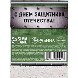 Подарочный набор «Тому, кто всегда на высоте», гель для душа и шампунь для волос, 2×100, Чистое счастье
