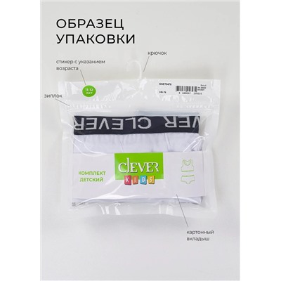 CLEVER Комплект BS9483
