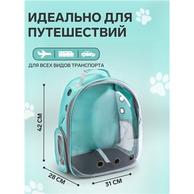 Рюкзак для переноски животных, 31×28×42 см, прозрачный, бирюзовый