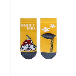 БРЕСТСКИЕ Носки 3072 PAW PATROL