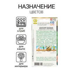 Семена цветов Пеларгония "Рафаэлла", оранжевая, F1, 5 шт