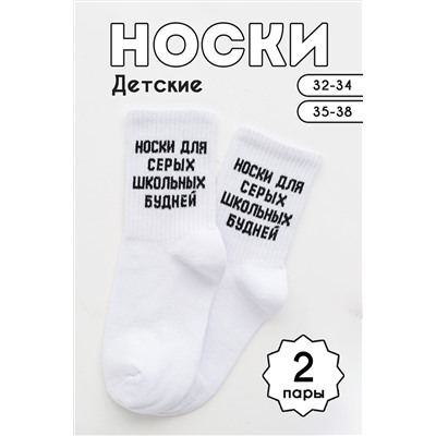 Детские носки стандарт Школьные будни (набор 2 пары) НАТАЛИ, 1094868
