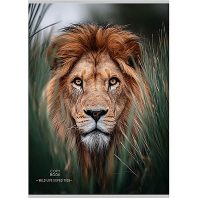 Тетрадь А4  96л клетка "КРАСИВЫЙ ЛЕВ - 1" 96-9009 Проф-Пресс