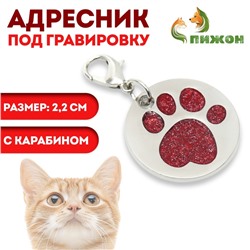 Адресник под гравировку «Блестящая лапка» с карабином, 2.2 см, красный