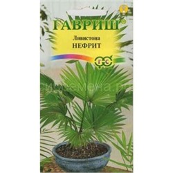 Ливистона китайская Нефрит (Гавр)