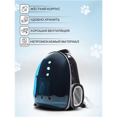 Рюкзак для переноски кошек и собак, 33×25×41 см, прозрачный, с напылением