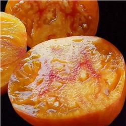 7017T Томат Грейпфрут 10шт