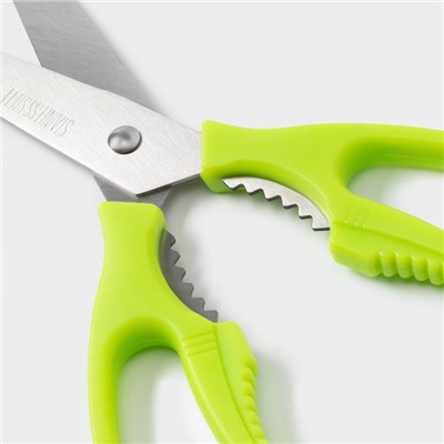 Ножницы кухонные Доляна «Саймон», 23 см, зелёные