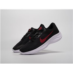 Кроссовки Nike Flex Experience Run 11
