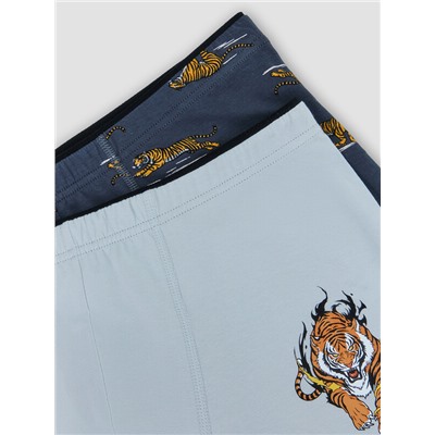 ТРУСЫ МУЖСКИЕ (2ШТ) 411134-2