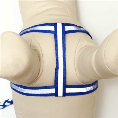 Шлейка с поводком «Плетенка», ОГ 32-48×1.5 с, поводок 115×1 см, флуоресцентная, синяя