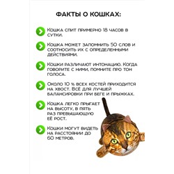 Игрушка-антистресс Кот Рыжик НАТАЛИ, 1082981