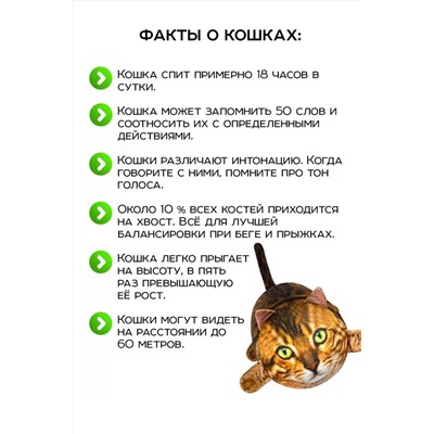 Игрушка-антистресс Кот Рыжик НАТАЛИ, 1082981