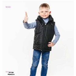 Жилет 1901424-2