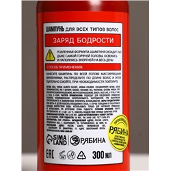 Подарочный набор «Тушение мужика»: гель для душа и шампунь для волос, 2×300 мл, HARD LINE