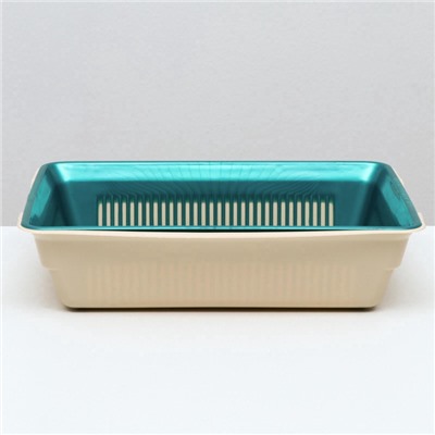 Туалет глубокий с сеткой 36×25×9 см, бирюзовый/бежевый