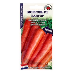Семена Морковь "Бангор F1", раннеспелая, 0,2 г