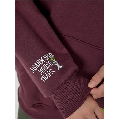 ХУДИ ДЛЯ МАЛЬЧИКОВ 123416-1