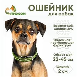 Ошейник брезентовый безразмерный двухслойный, 50×2 см, ОШ 22-45 см, хаки/зелёный