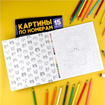 Раскраска 215х215 мм 16л "Картины по номерам" "КОТЫ-МЕМЫ" 71479 Феникс