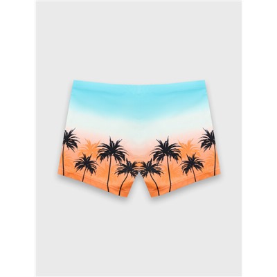 ТРУСЫ КУПАЛЬНЫЕ ДЛЯ МАЛЬЧИКОВ 703363