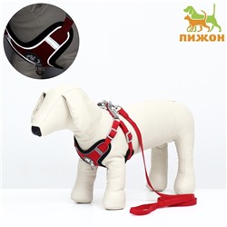 Комплект Sport+, S, поводок 120×1.5 см, ОШ 39-41 см, ОГ 44-48 см, вес животного 7-13 кг, красный