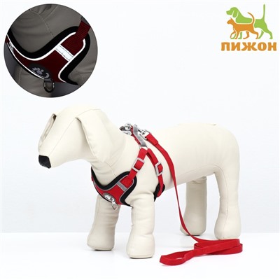 Комплект Sport+, S, поводок 120×1.5 см, ОШ 39-41 см, ОГ 44-48 см, вес животного 7-13 кг, красный