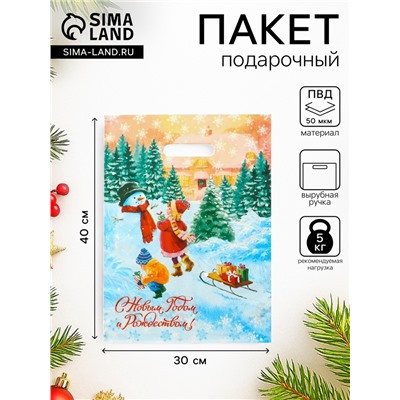 Пакет подарочный новогодний «С Новым Годом и Рождеством», полиэтиленовый с вырубной ручкой, 30×40 см