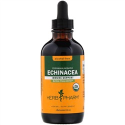 Herb Pharm, Эхинацея, без спирта, 4 жидких унции (120 мл)