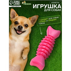 Игрушка жевательная «Конфетка», TPR, 12 см, розовая