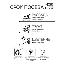 Семена цветов Катарантус Пацифика "Вайт"  10 шт