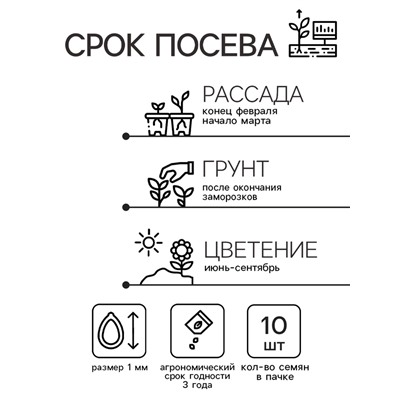 Семена цветов Катарантус Пацифика "Вайт"  10 шт