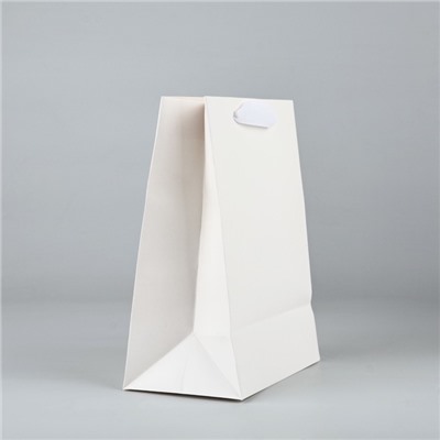 Пакет подарочный новогодний ламинированный «Снежинки», MS 18×23×10 см